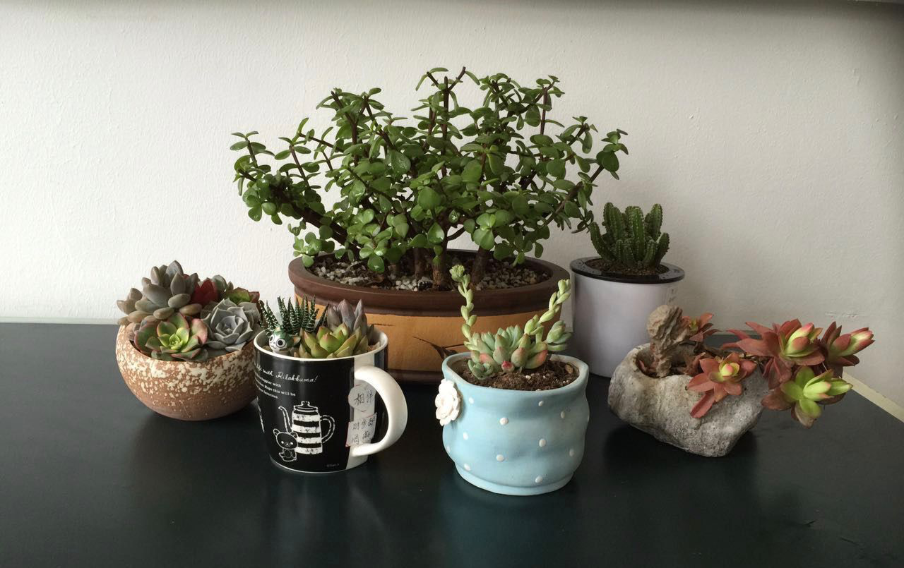 圖片2.png 圖片2.png